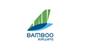 Icon Bamboo Airways