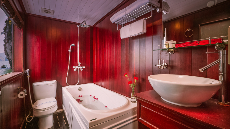 Aclass Stellar Cruise Honeymoon Suite Bathroom