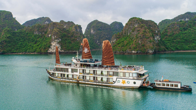 Orchid Trendy Cruise Halong