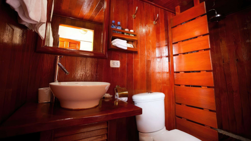 Bathroom with wood material