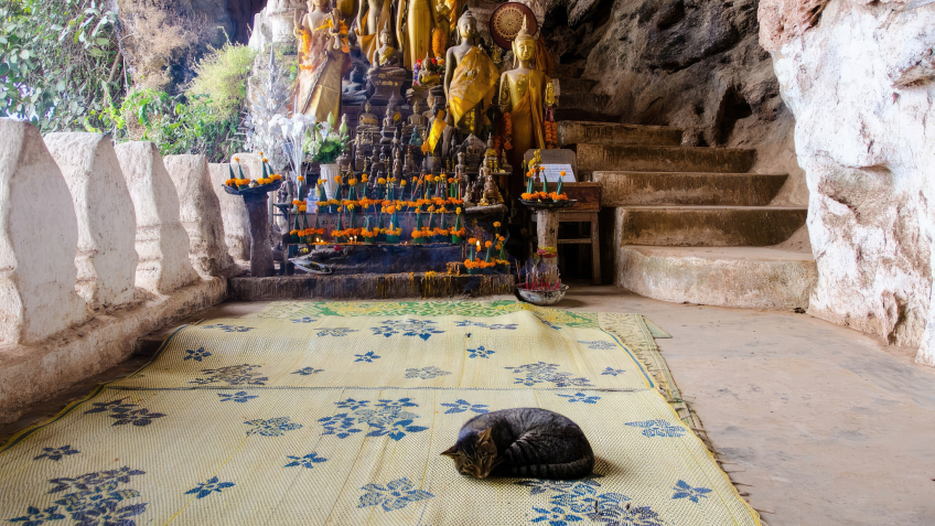 Buddha statues in the cave