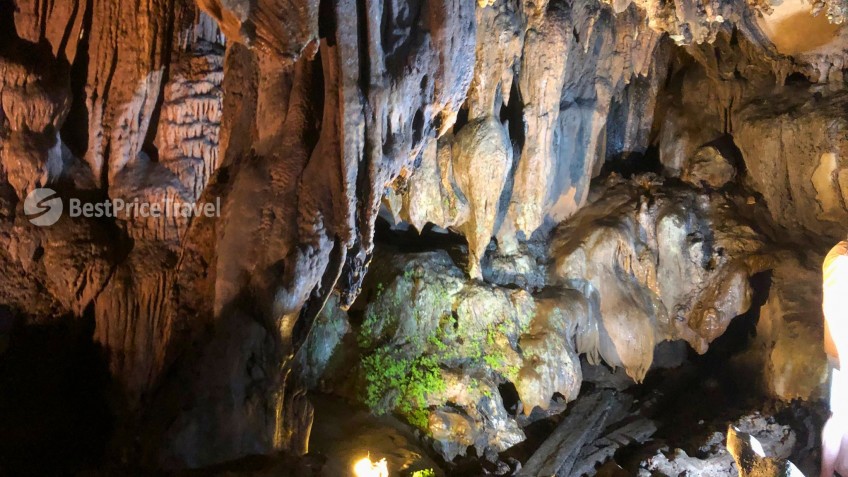 Majestic Stalactites in Trung Trang Cave