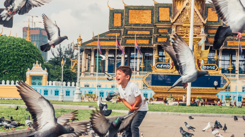 Happy Kid With Lovely Pigeons At Cambodia's Royal Palace