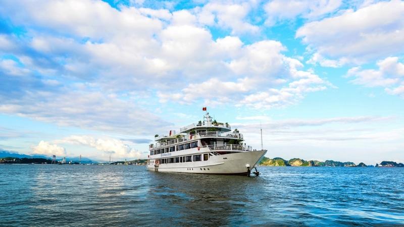 Swan Cruise In Bai Tu Long Bay