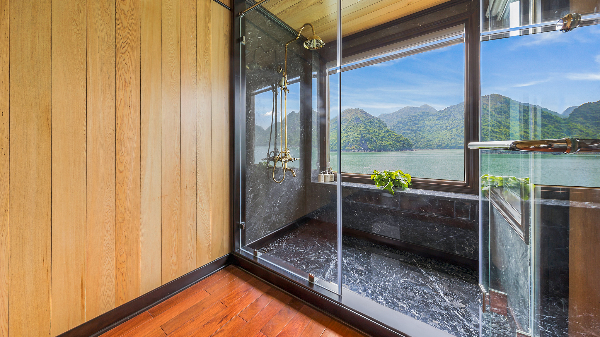 Relax by shower with great views