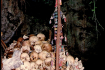 Killing Caves Of Phnom Sampeau