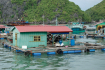 Hoa Cuong Floating Village