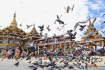 Local Worshippers Feed A Large Group Pigeons
