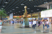 Tan Son Nhat Airport (3)