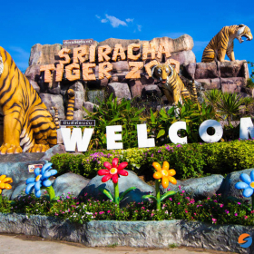 Sriracha Tiger Zoo