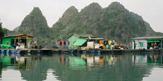 Cai Beo Fishing Village