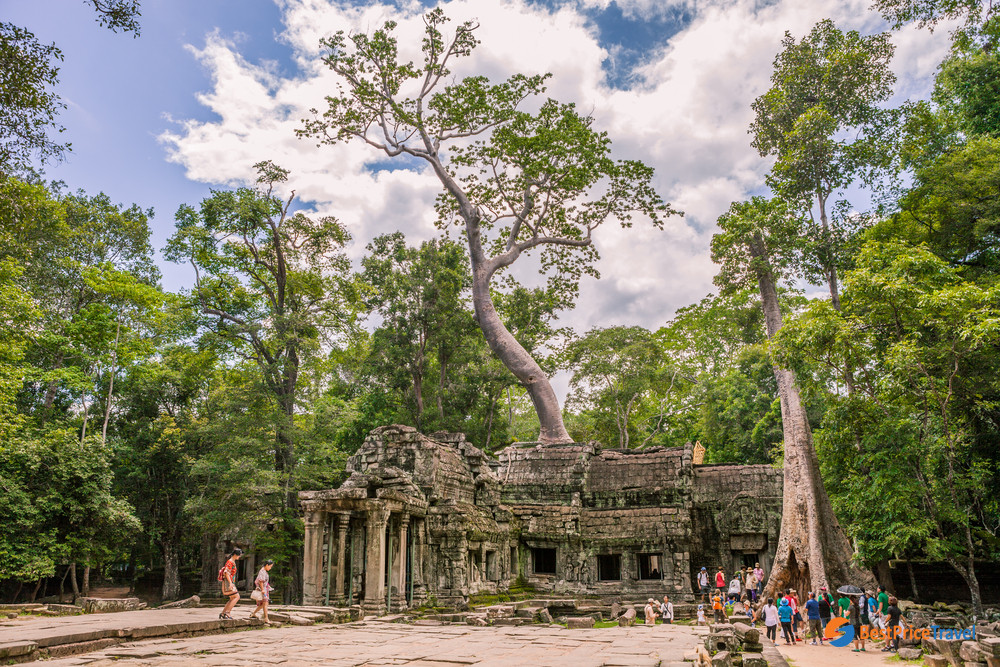 The panoramic view of Ta Prohm Temple