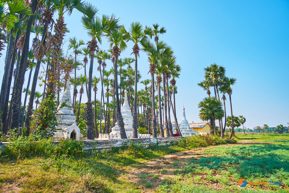 The scenic palm trees around the medieval stupas of Bagaya Monastery