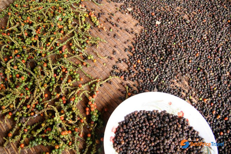 Pepper Kampot is the world's best organic pepper for decades