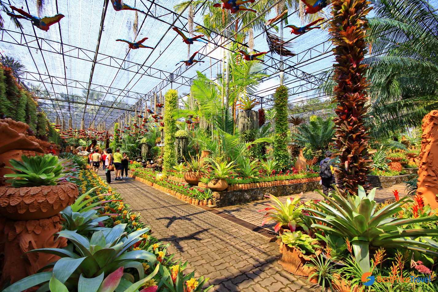Сад орхидей Ботанический сад Нонг Нуч
