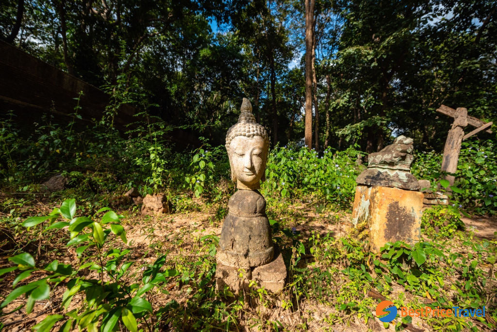 Buddha Head at Wat Umong