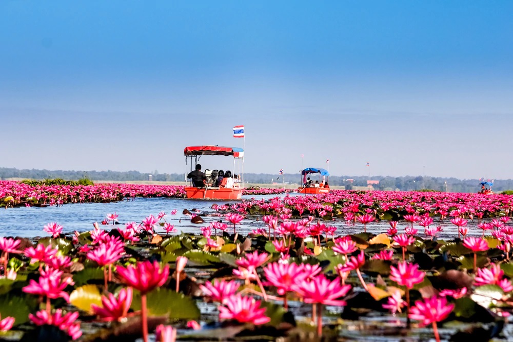 Flower Lake in Udon Thani