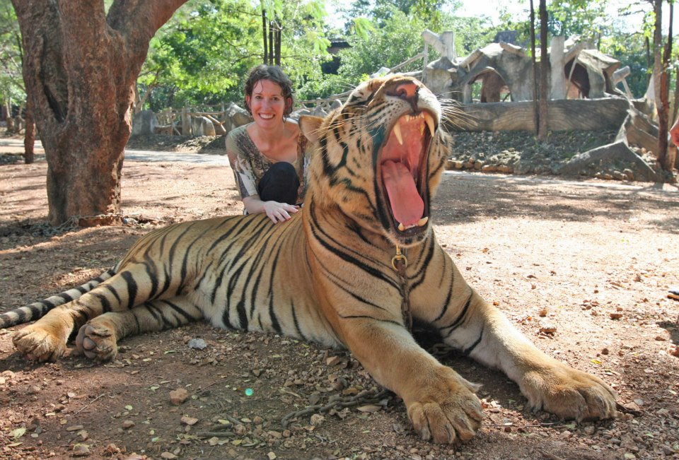 Posing With Tigers 2