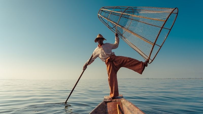 Fishermen are catching fish in the traditional way