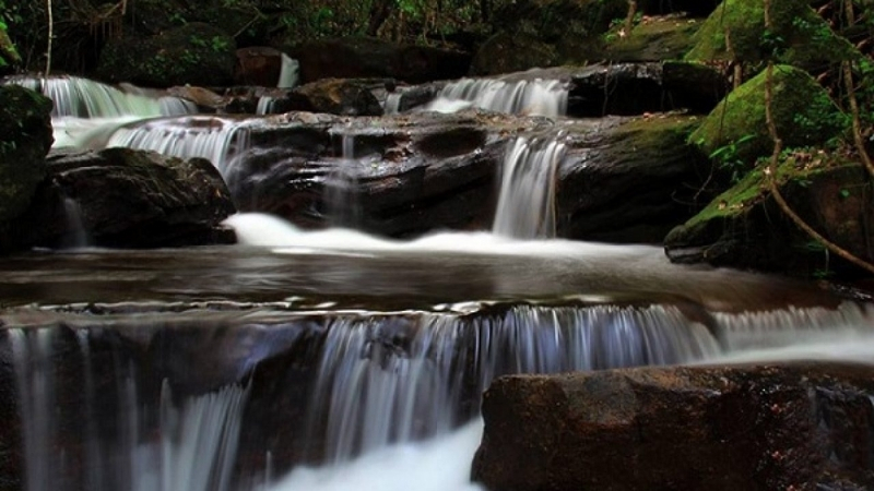 Discover the natural beauty of the Tranh stream