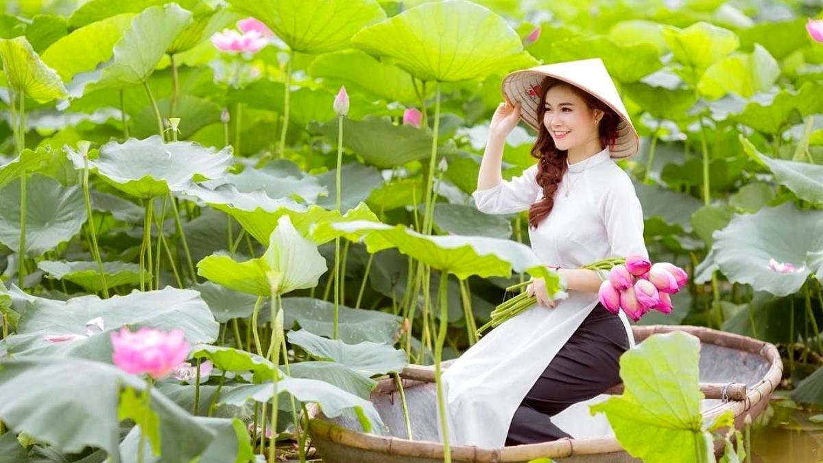 Take photos with gorgeous lotus blossoms on West Lake