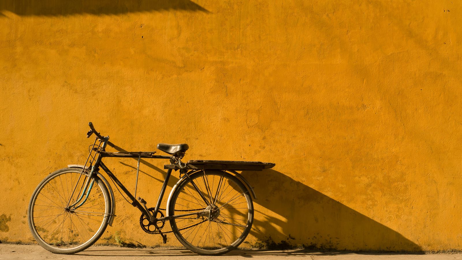 Cycling Is A Suitable Way To Explore The Tranquil Hoi An