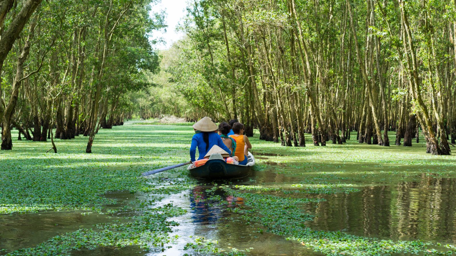 Travel By Boat To Witness The Mekong Delta Scenery