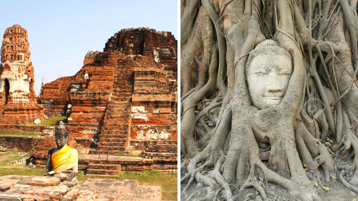 Wat Mahathat And The Buddha Head in Tree Roots