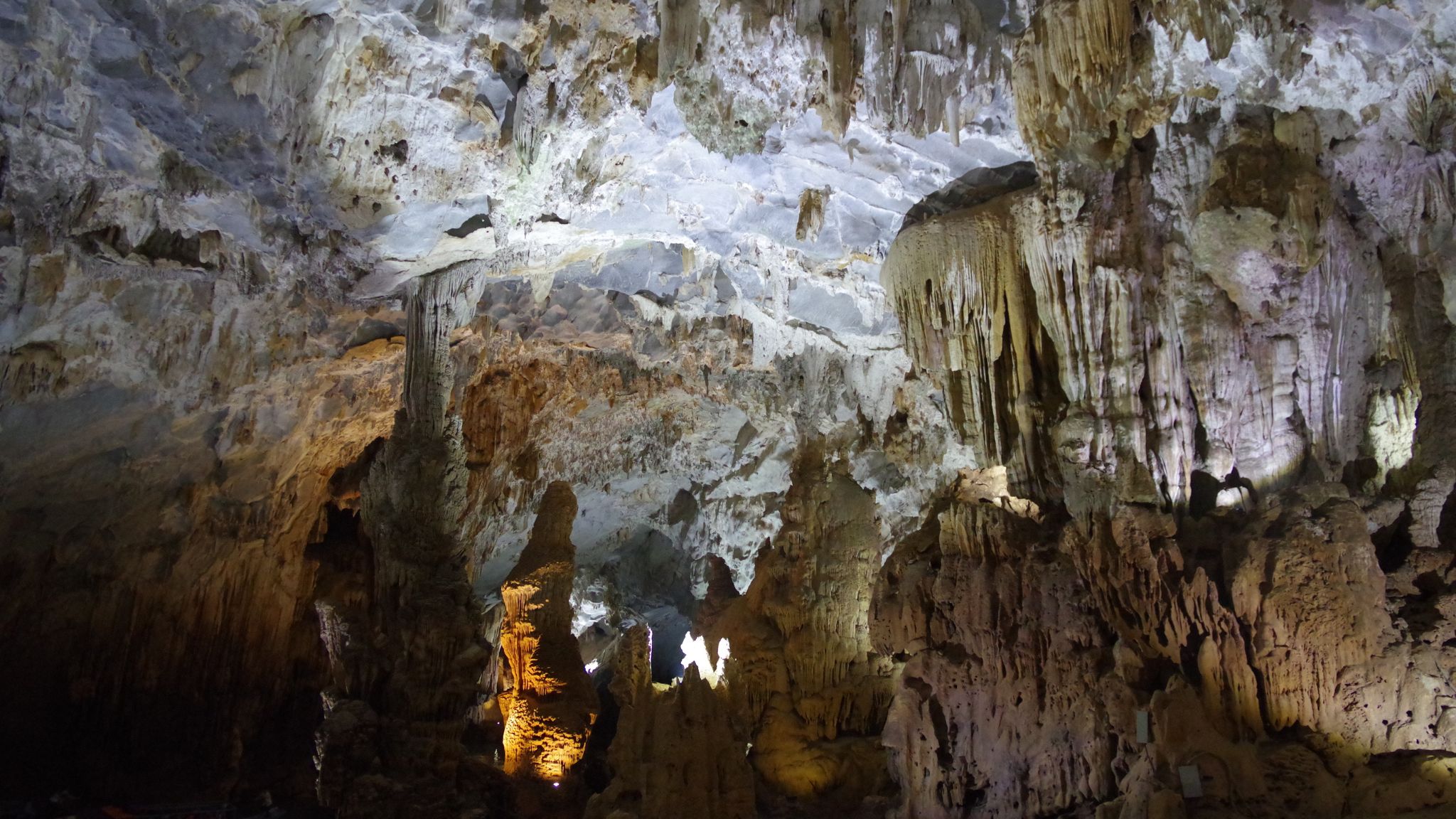 The Special Feature Of Phong Nha Cave