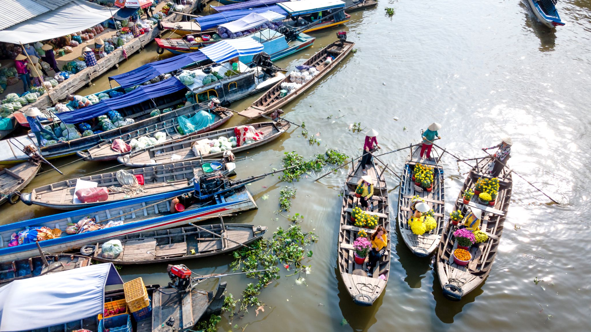 Colorful Boats In Cai Rang Floating Market