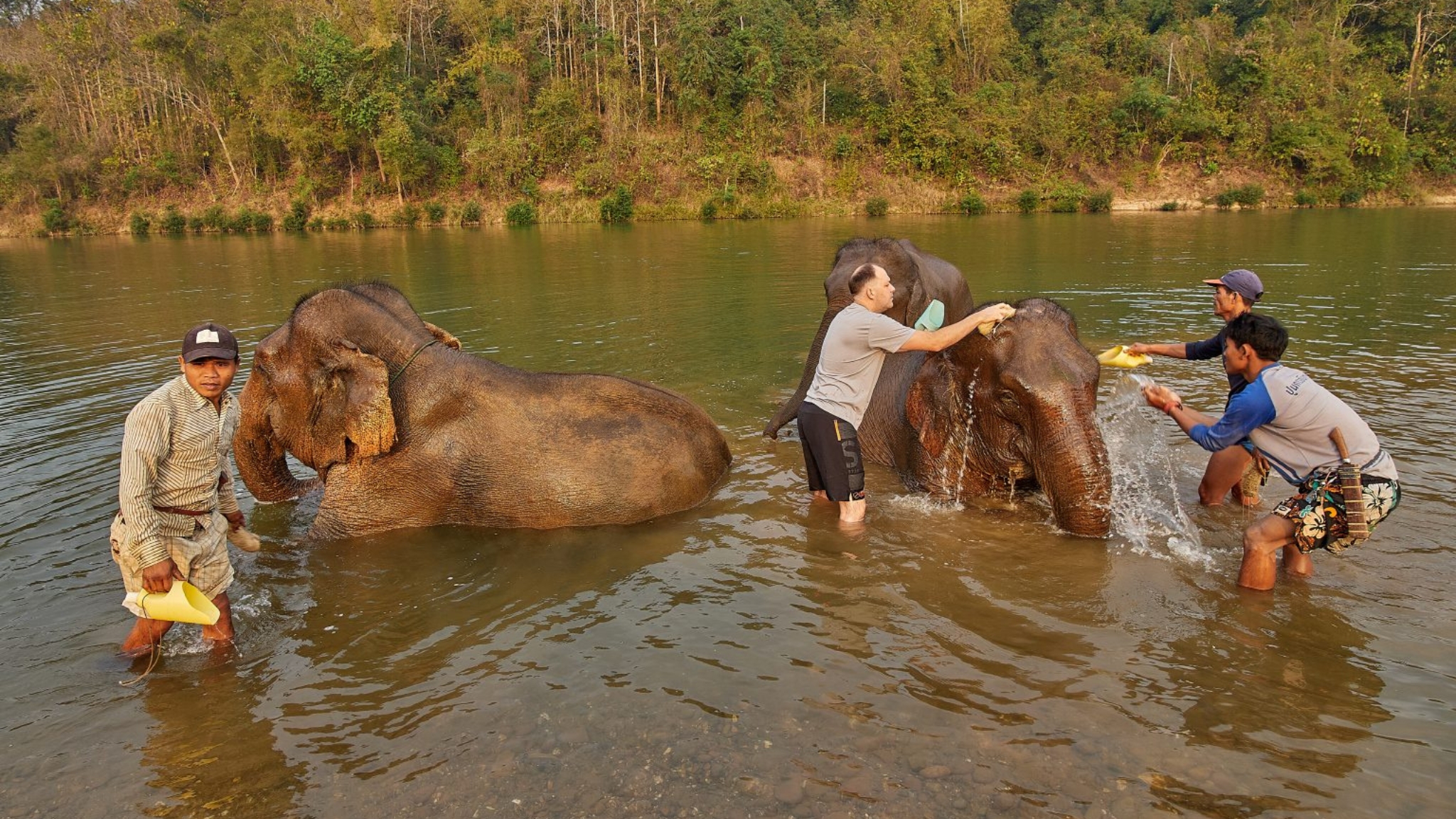 Participate In Elephant Care Activities