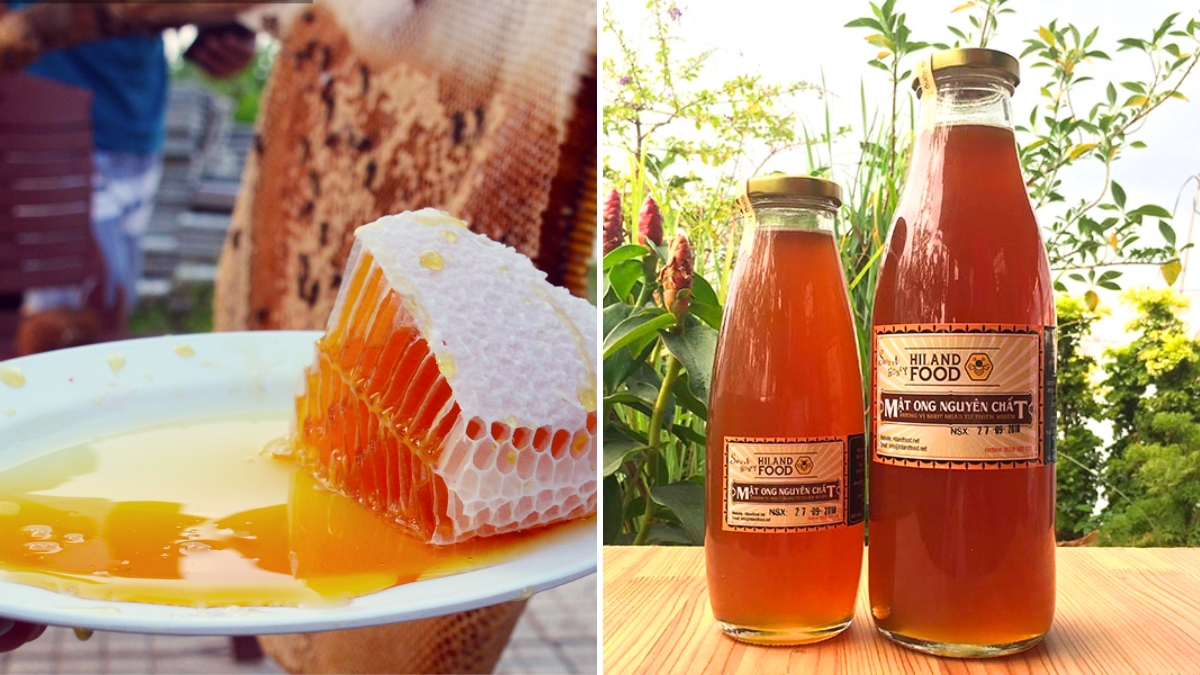 U Minh Wild Forest Honey Is Famous For Its Special Quality