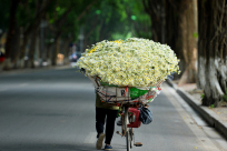 Vietnam in Winter: What You Should Prepare to Travel?