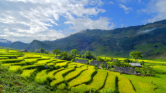 What Is The Best Time to Visit Sapa?