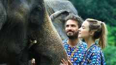 5 Elephant Sanctuaries to Visit in Chiang Mai