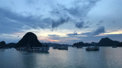 Halong Bay Weather in August: Temperature & Things to Do