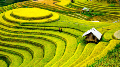 Best Time to Visit Northen Vietnam: Great Weather & Exciting Activitites