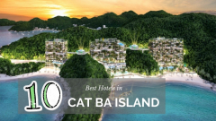 Top 10 Best Hotels in Cat Ba Island [Should Stay 2022]