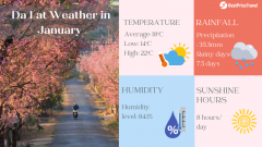 Da Lat Weather in January: Temperature & Things to Do