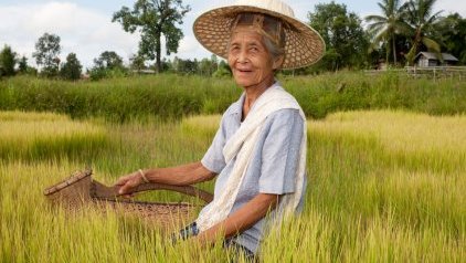 One Day of a Vietnamese Farmer