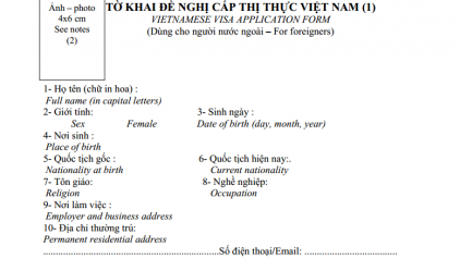 How to fill in the Vietnamese Visa Application form?