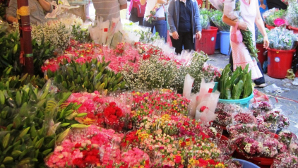 Visit Vietnam’s Tet Flower Markets This January