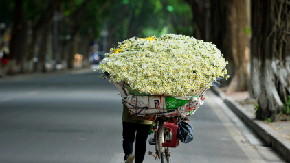 Vietnam in Winter: What You Should Prepare to Travel?