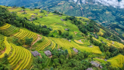 5 Best Ways to See Rice Paddies in Vietnam