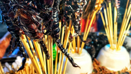 The Flavors of Insect Street Food in Thailand