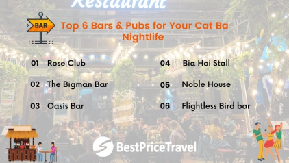 Top 6 Bars & Pubs for Your Cat Ba Nightlife [Updated 2023]