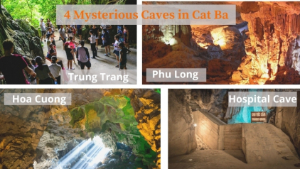 4 Beautiful & Mysterious Caves in Cat Ba Island [Must-visit 2023]