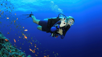 Scuba Diving in Hoi An: Complete Guide