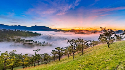 Is Dalat Worth Visiting? 5 Reasons for Your Visit