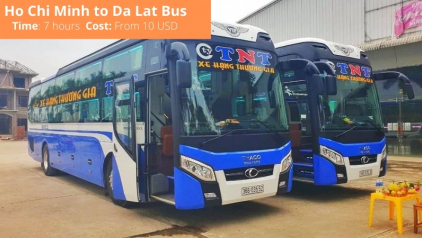 Ho Chi Minh to Da Lat Bus: Brands, Schedules & Prices